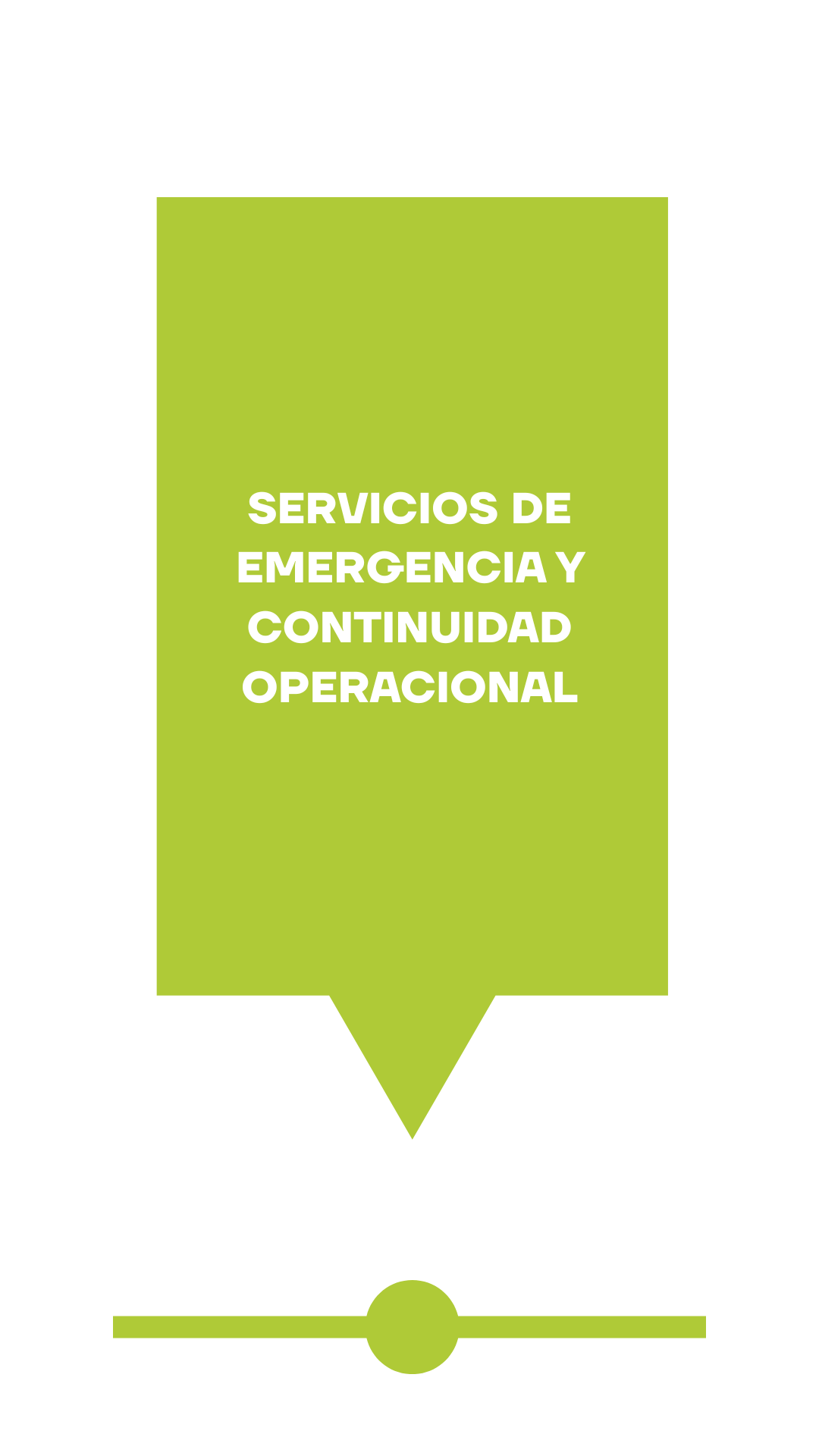 Servicio 6